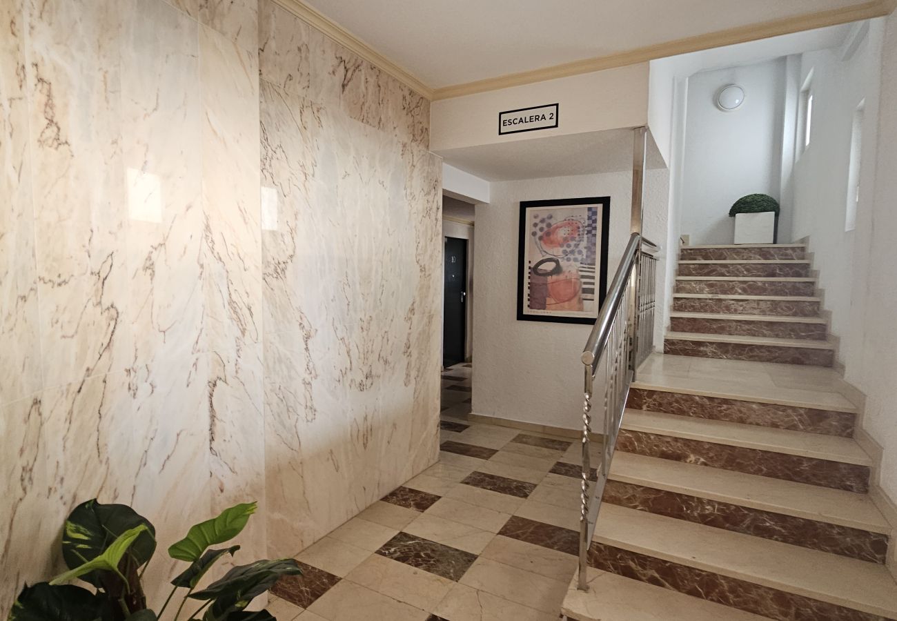 Apartamento en Benidorm - Apartamento Albatros IF Benidorm