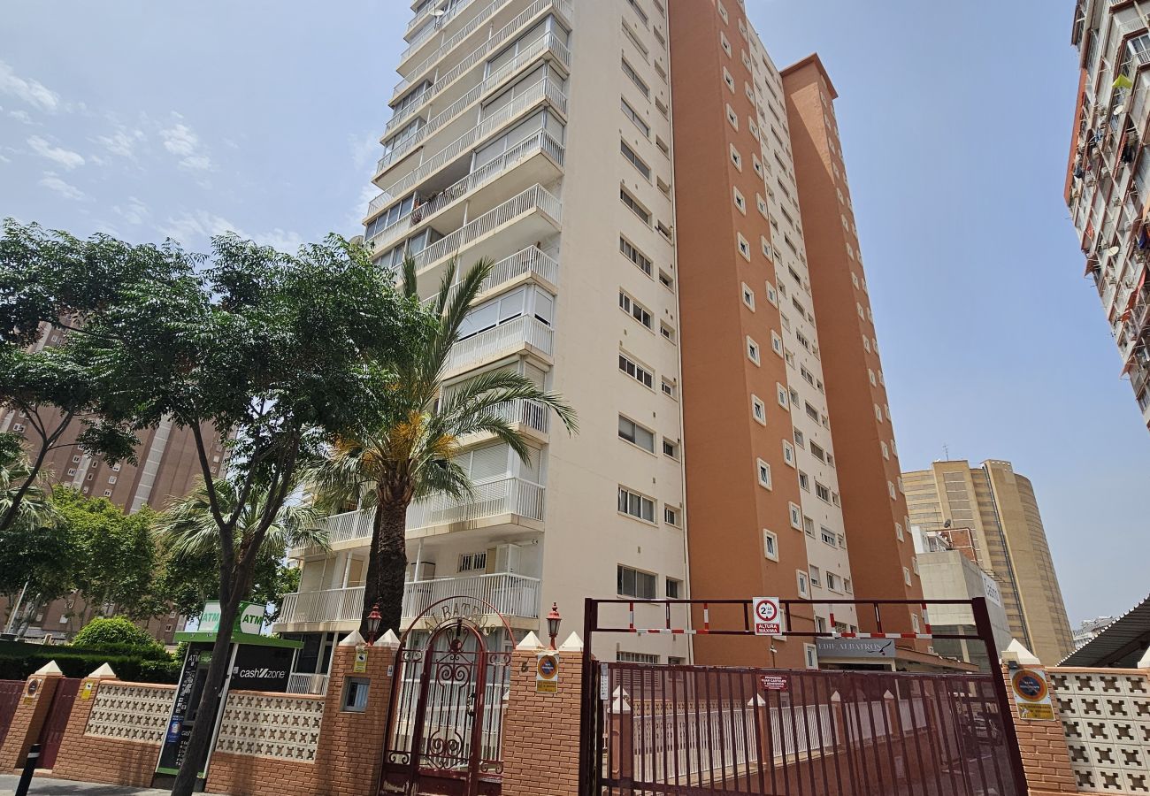 Apartamento en Benidorm - Apartamento Albatros IF Benidorm