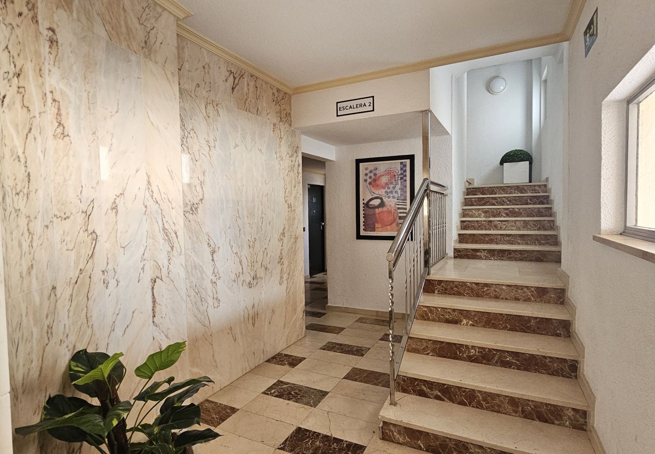 Apartamento en Benidorm - Apartamento Albatros IF Benidorm