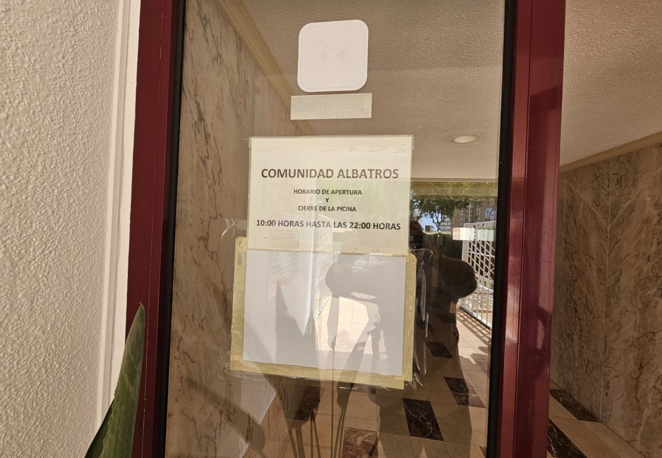 Apartamento en Benidorm - Apartamento Albatros IF Benidorm