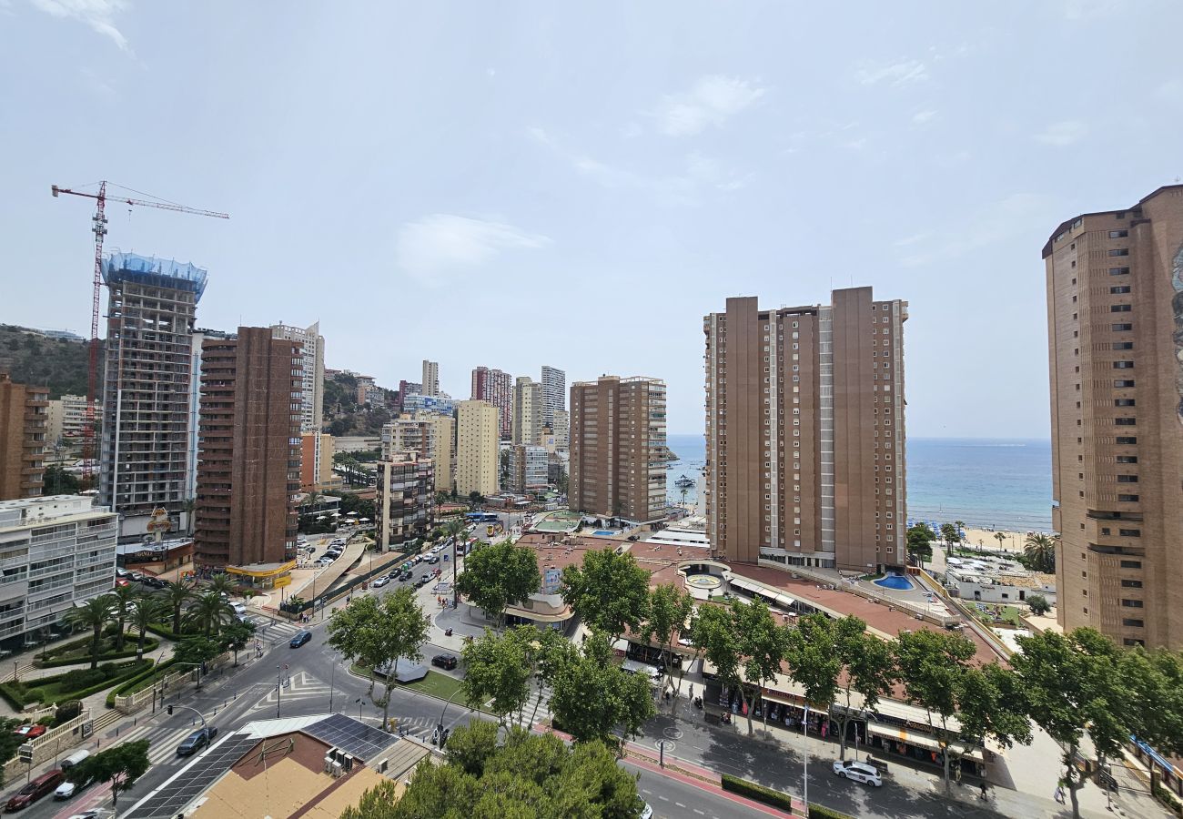Apartamento en Benidorm - Apartamento Albatros IF Benidorm
