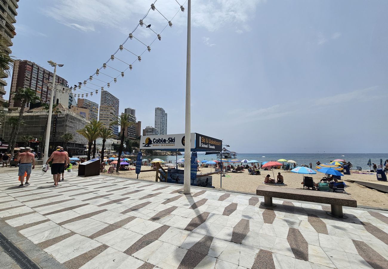 Apartamento en Benidorm - Apartamento Albatros IF Benidorm