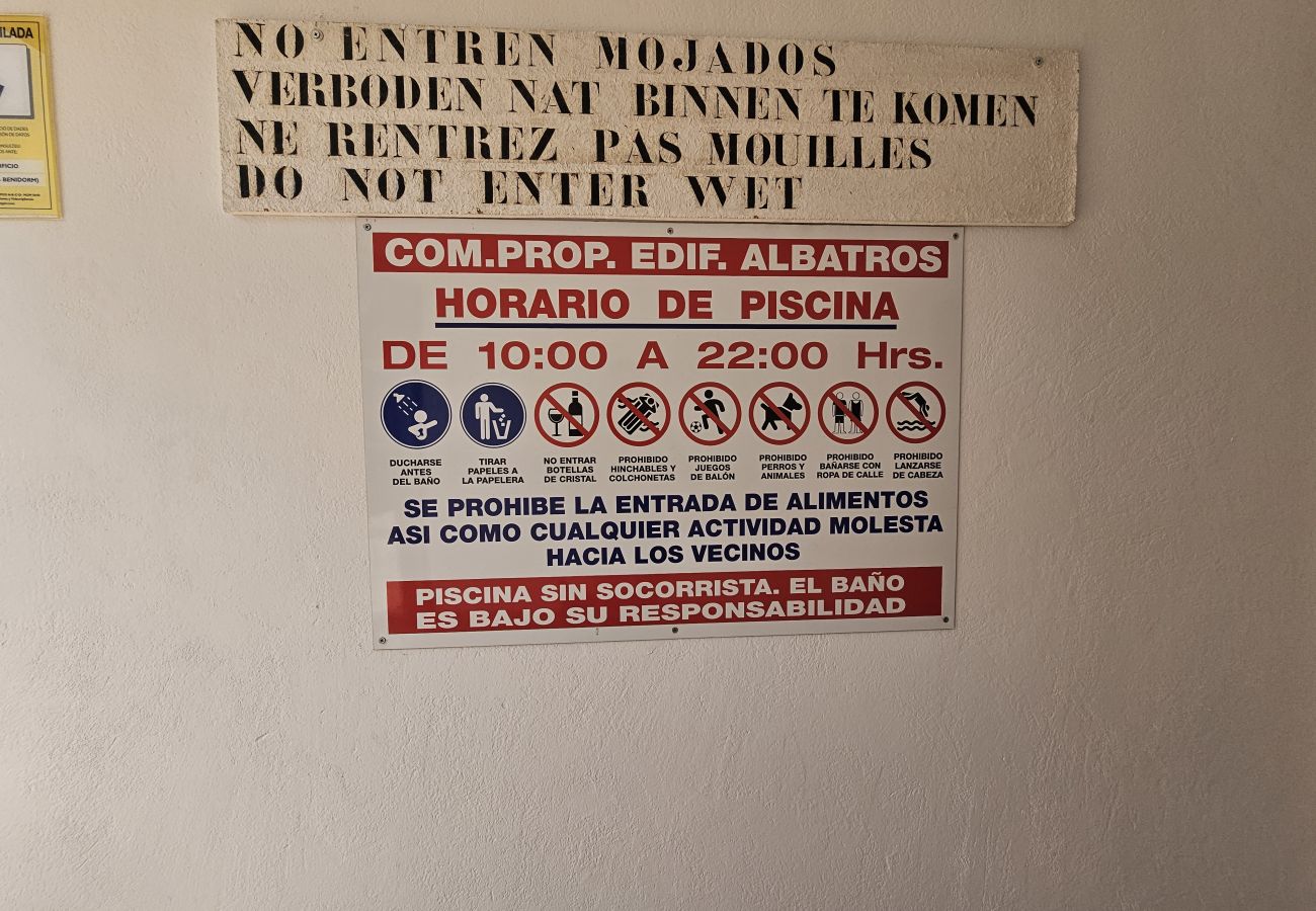 Apartamento en Benidorm - Apartamento Albatros IF Benidorm