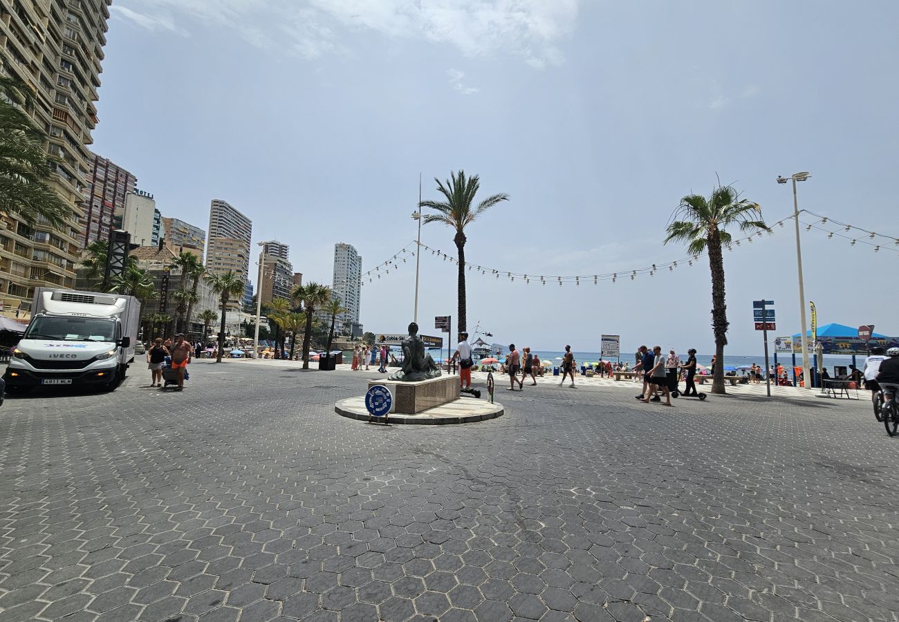 Apartamento en Benidorm - Apartamento Albatros IF Benidorm