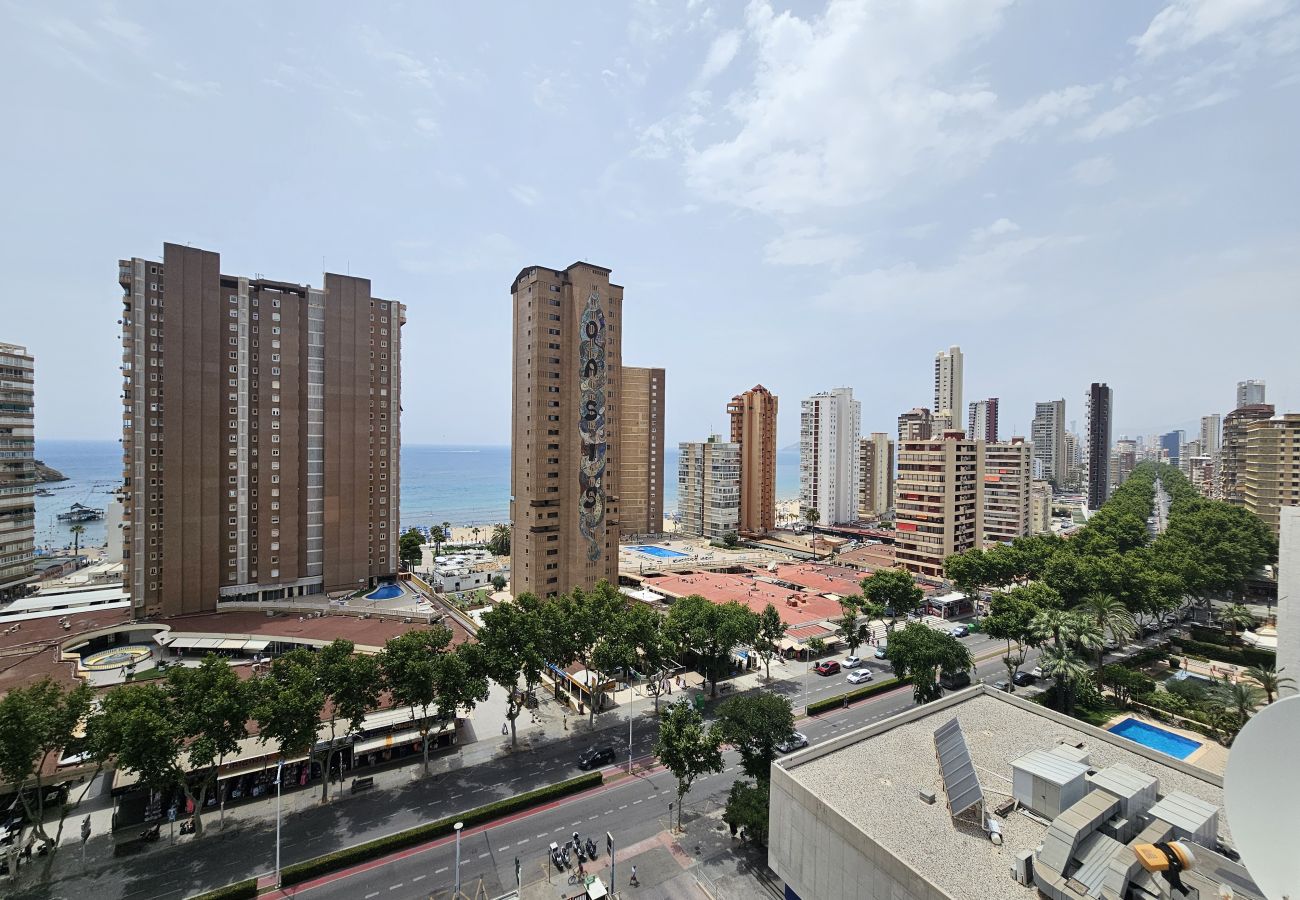 Apartamento en Benidorm - Apartamento Albatros IF Benidorm