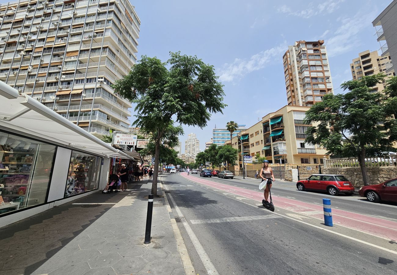 Apartamento en Benidorm - Apartamento Albatros IF Benidorm