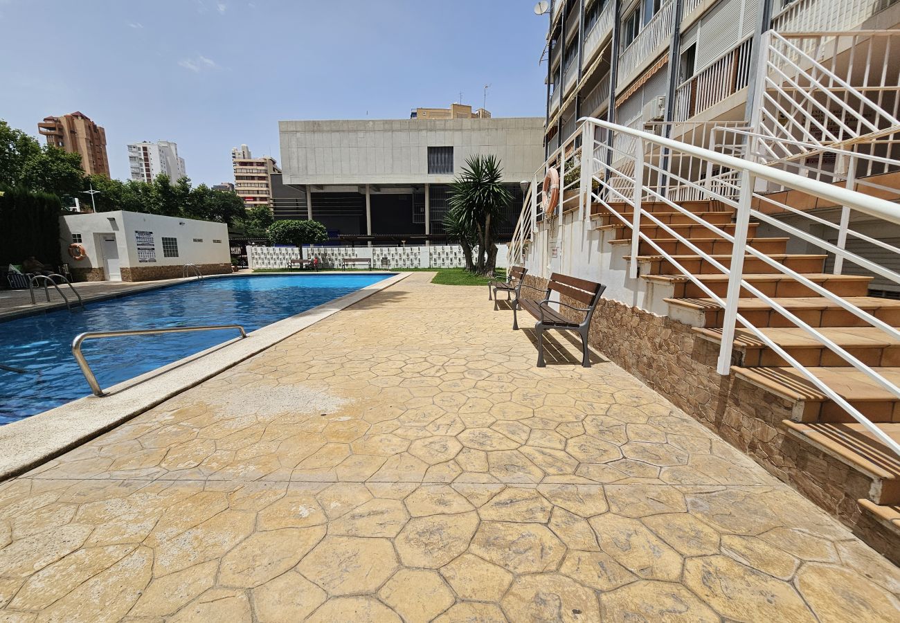 Apartamento en Benidorm - Apartamento Albatros IF Benidorm