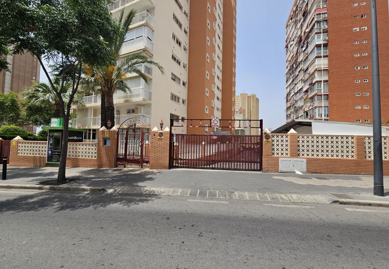 Apartamento en Benidorm - Apartamento Albatros IF Benidorm