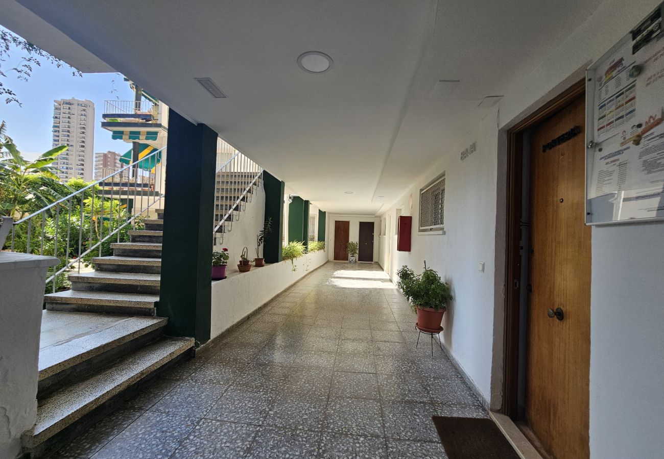 Apartamento en Benidorm - Apartamento Toki Ona iF Benidorm