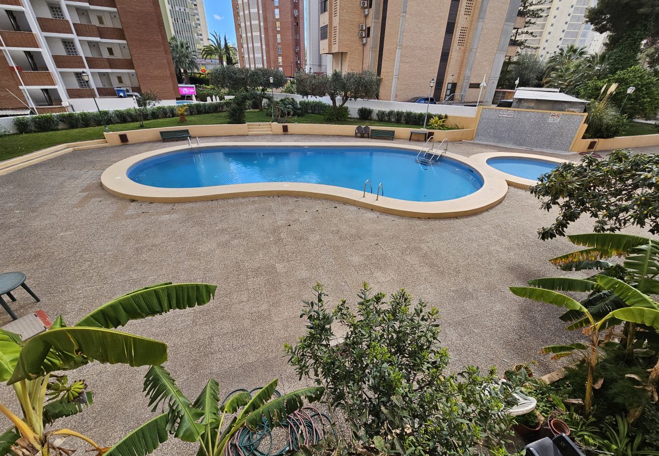 Apartamento en Benidorm - Apartamento Karola IF Beach