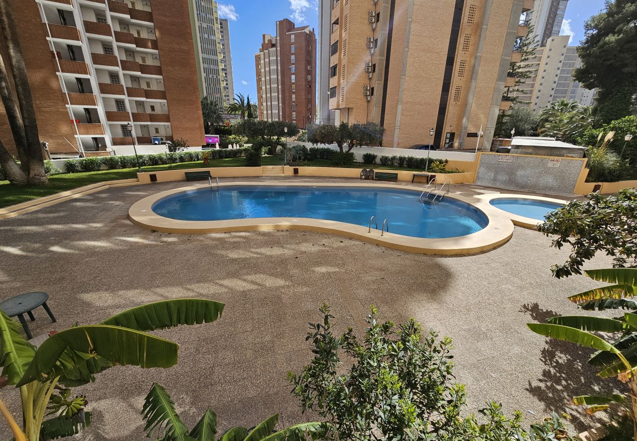 Apartamento en Benidorm - Apartamento Karola IF Beach