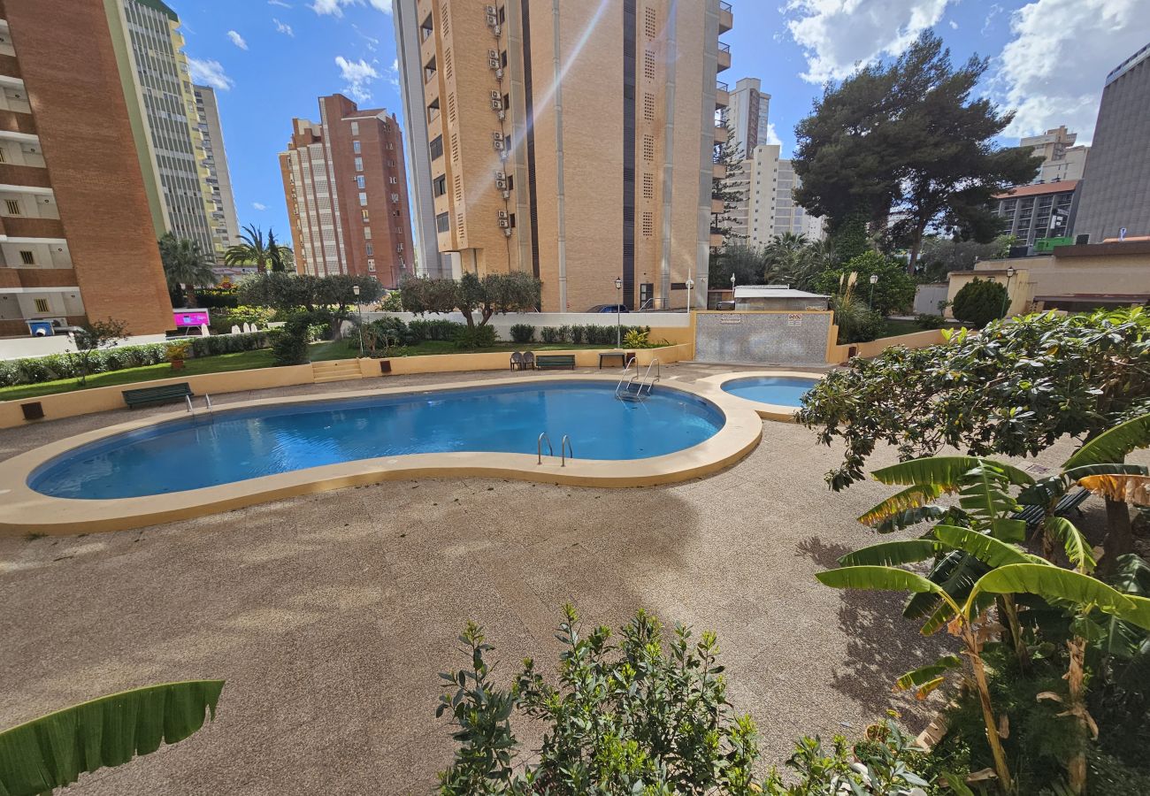 Apartamento en Benidorm - Apartamento Karola IF Beach