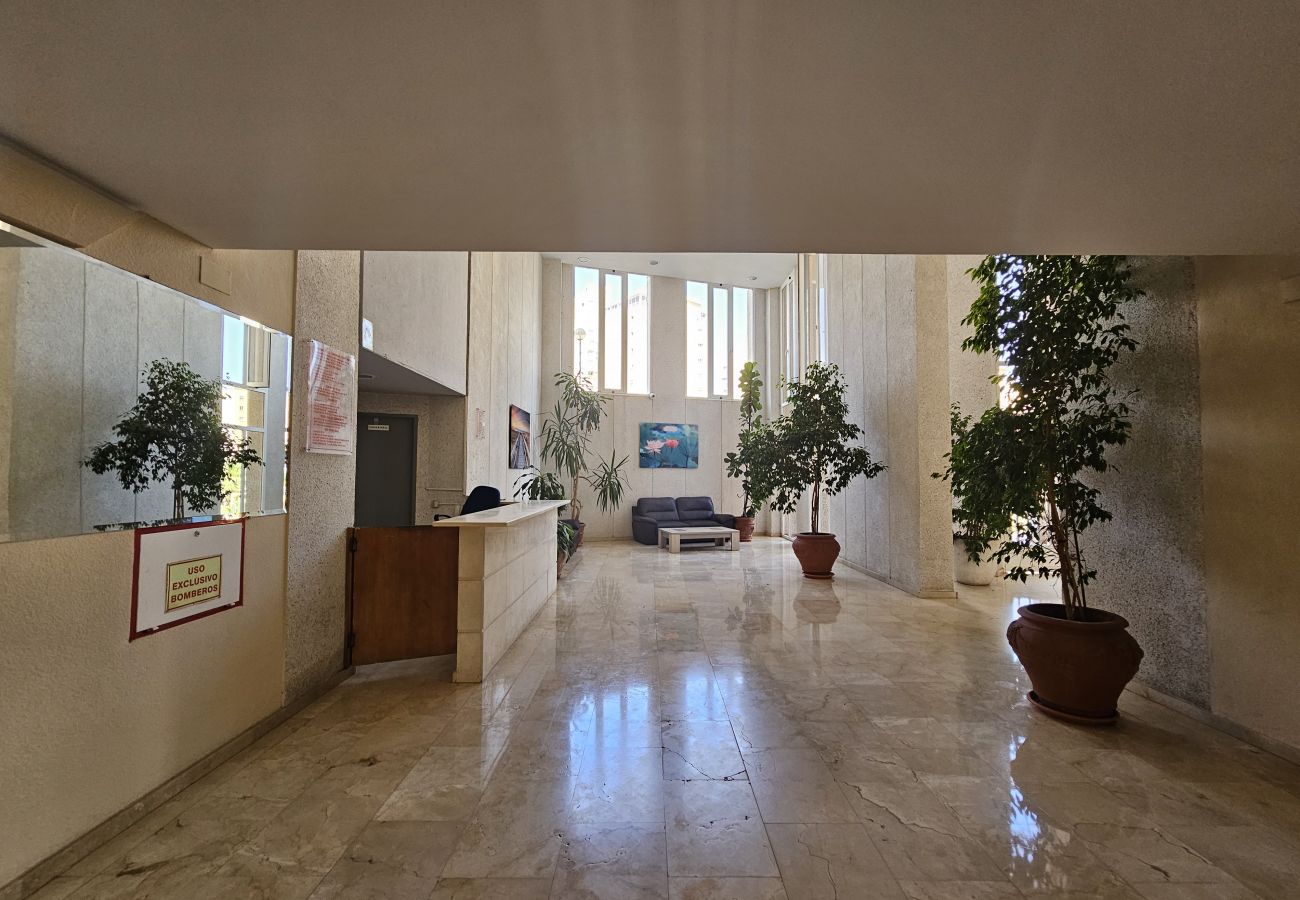 Apartamento en Benidorm - Apartamento Beniskyland