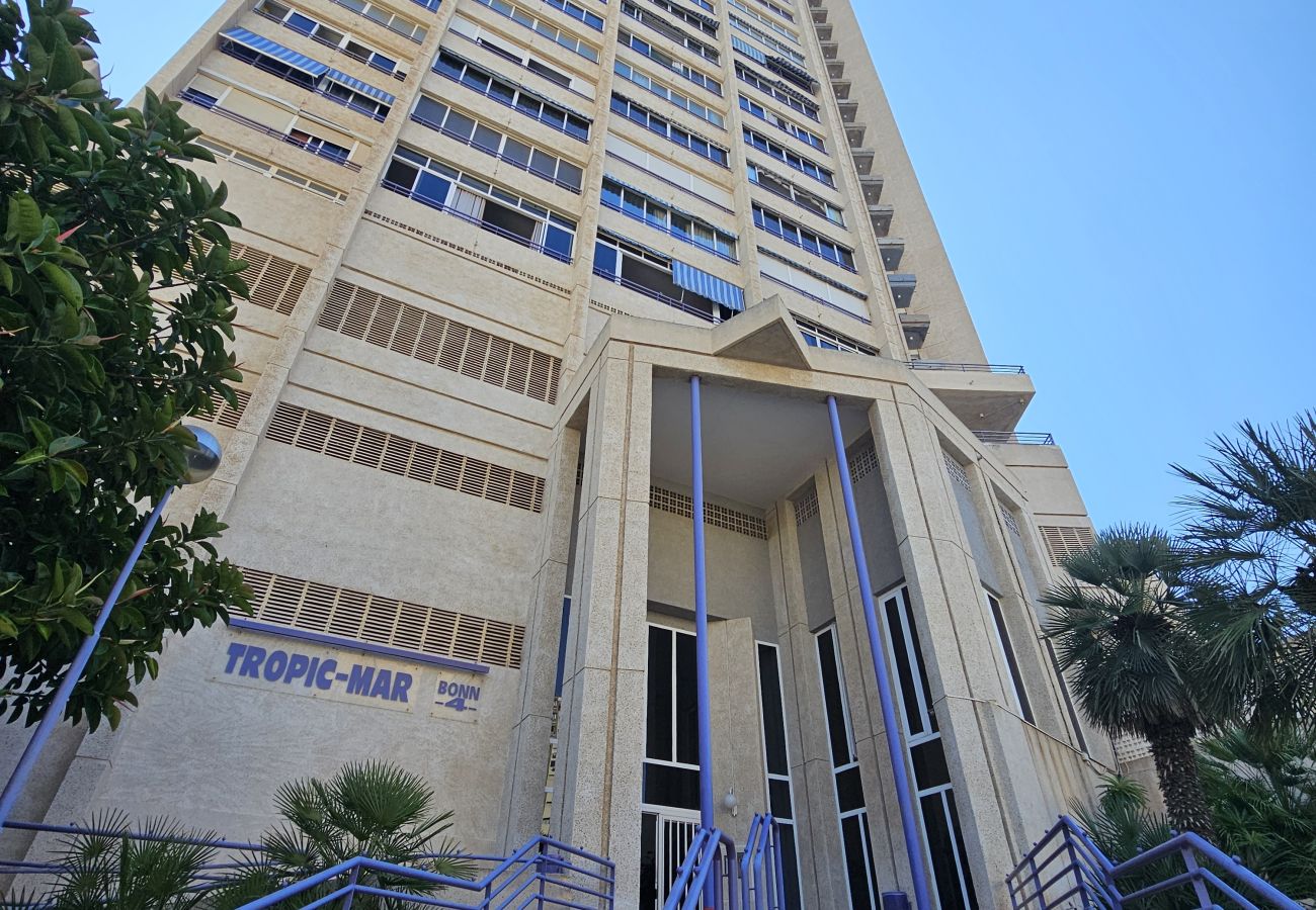 Apartamento en Benidorm - Apartamento Beniskyland