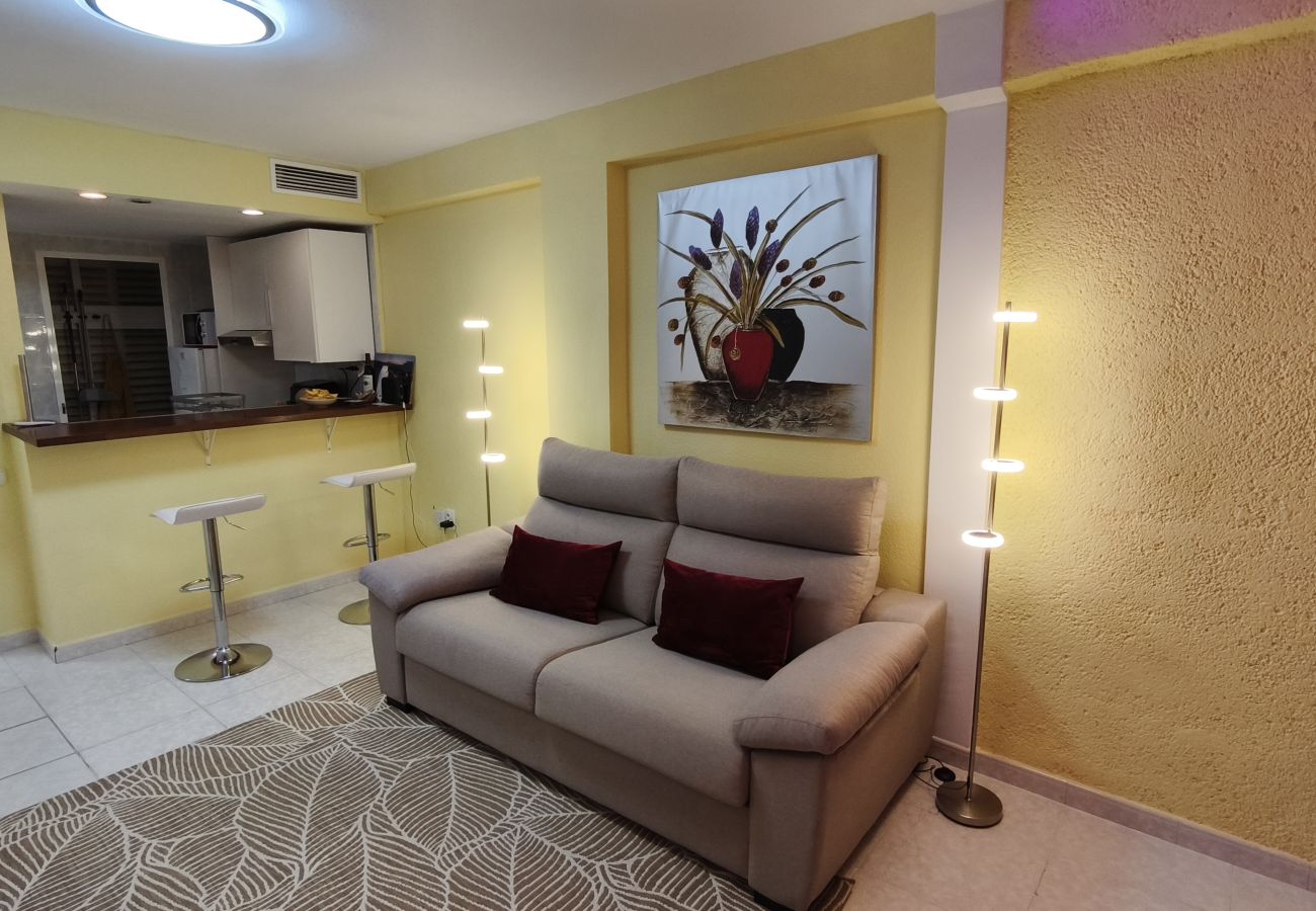 Apartamento en Benidorm - Apartamento  Tropic Mar Beniskyland