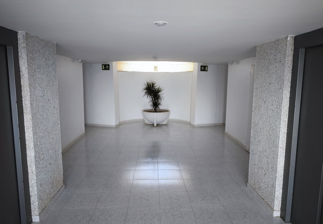 Apartamento en Benidorm - Apartamento  Tropic Mar Beniskyland