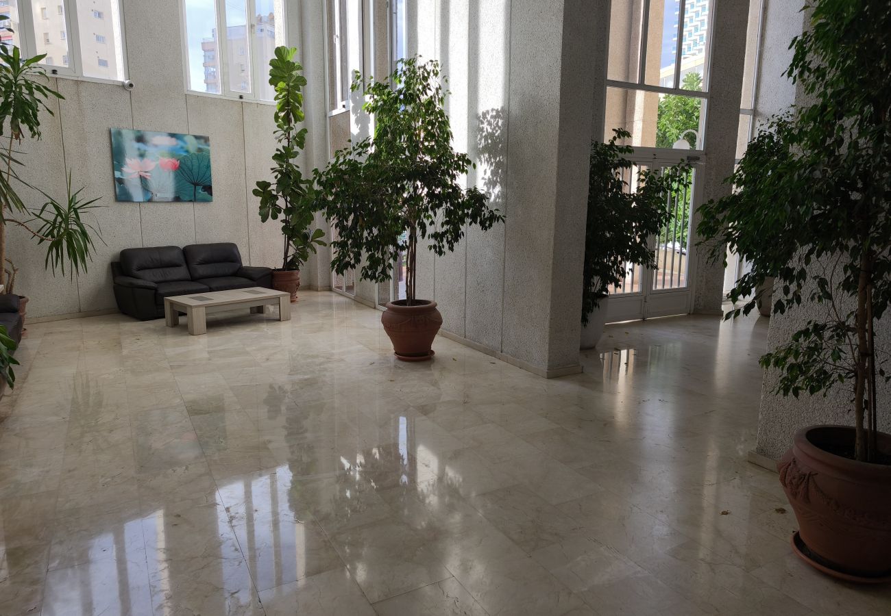 Apartamento en Benidorm - Apartamento  Tropic Mar Beniskyland