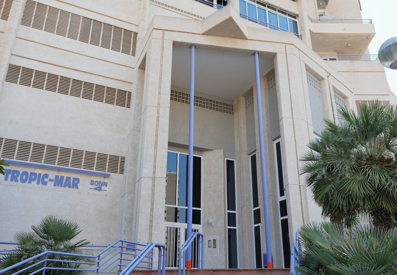 Apartamento en Benidorm - Apartamento  Tropic Mar Beniskyland