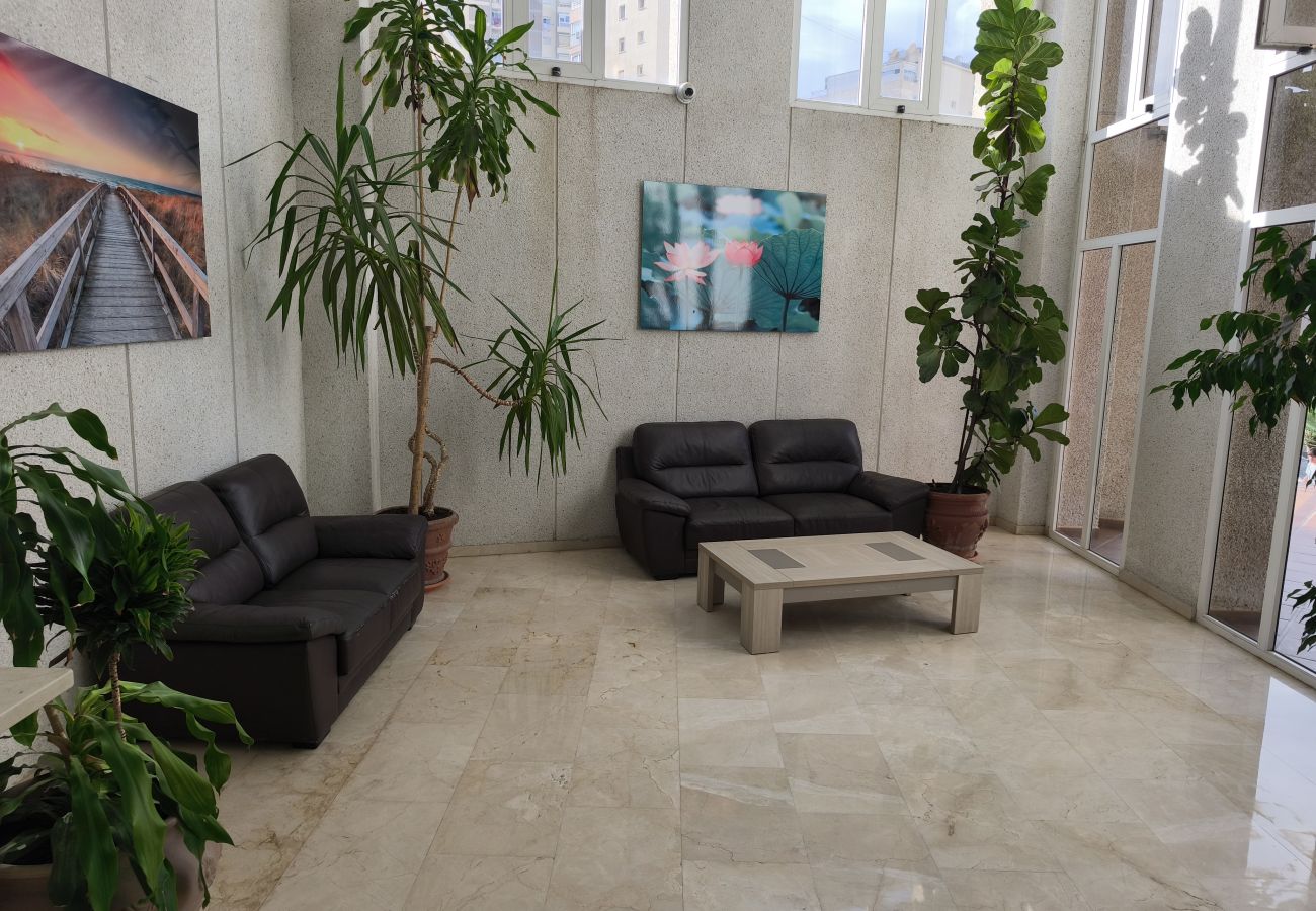 Apartamento en Benidorm - Apartamento  Tropic Mar Beniskyland