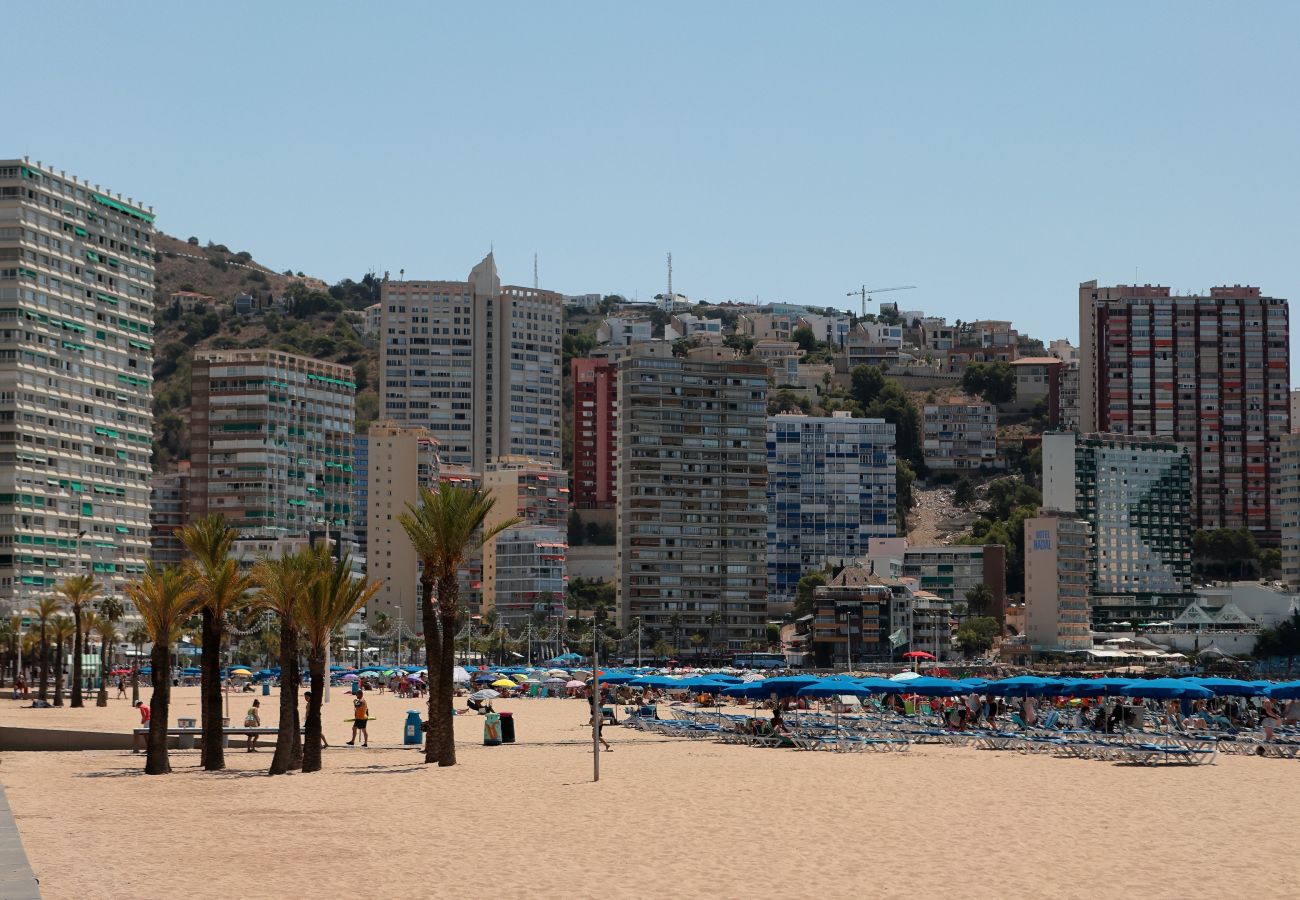 Apartamento en Benidorm - Apartamento  Tropic Mar Beniskyland