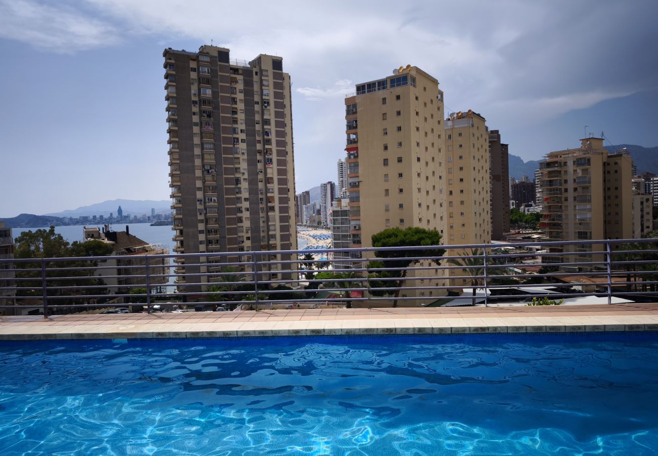 Apartamento en Benidorm - Apartamento  Tropic Mar Beniskyland