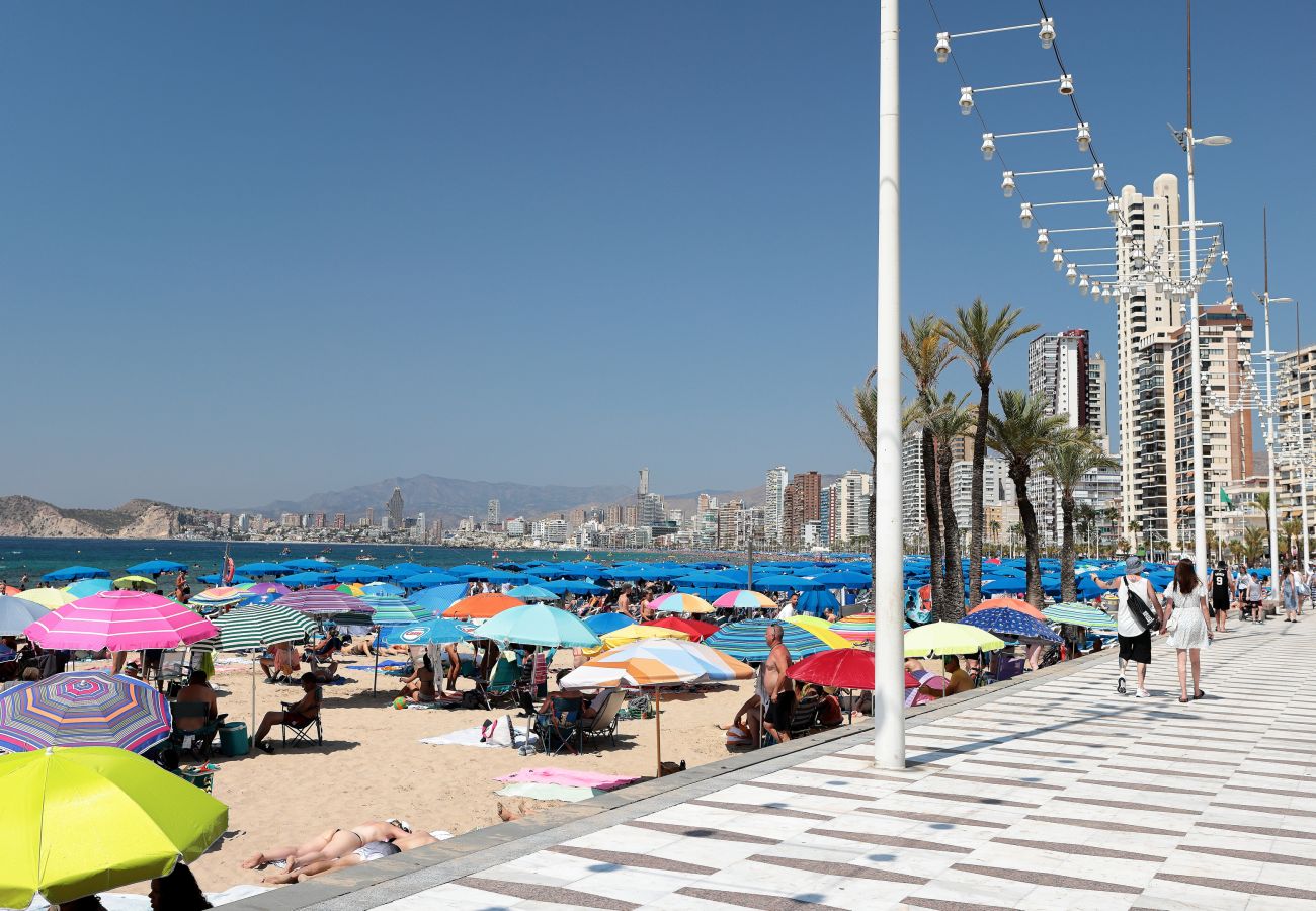 Apartamento en Benidorm - Apartamento  Tropic Mar Beniskyland