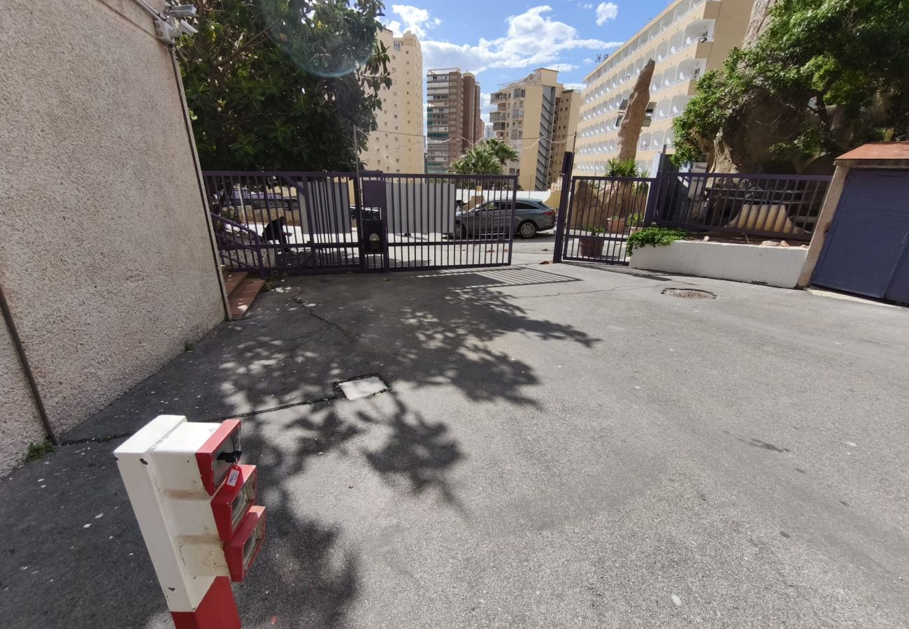 Apartamento en Benidorm - Apartamento  Tropic Mar Beniskyland