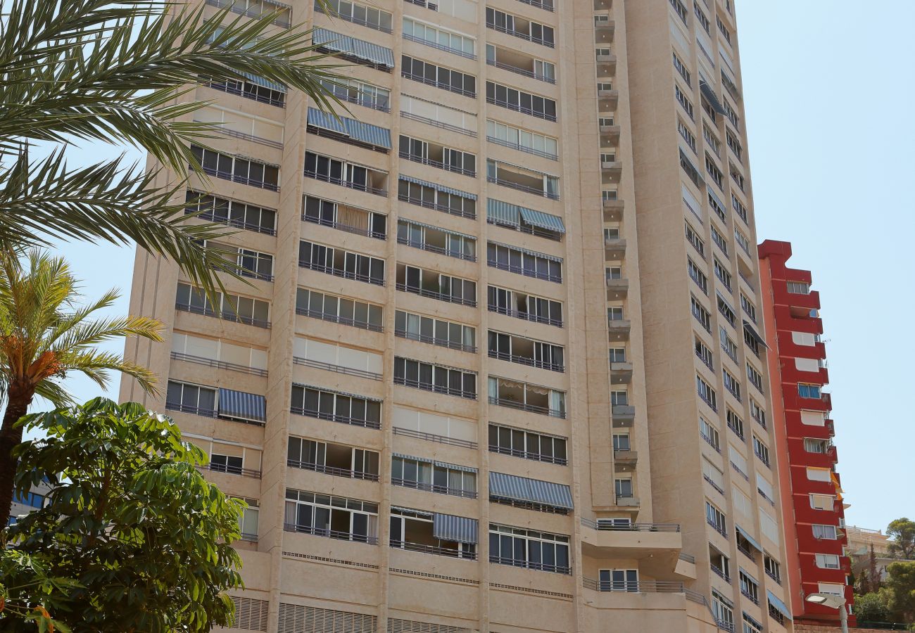 Apartamento en Benidorm - Apartamento  Tropic Mar Beniskyland