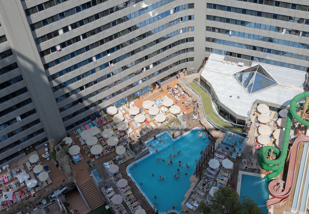 Apartamento en Benidorm - Apartamento  Tropic Mar Beniskyland