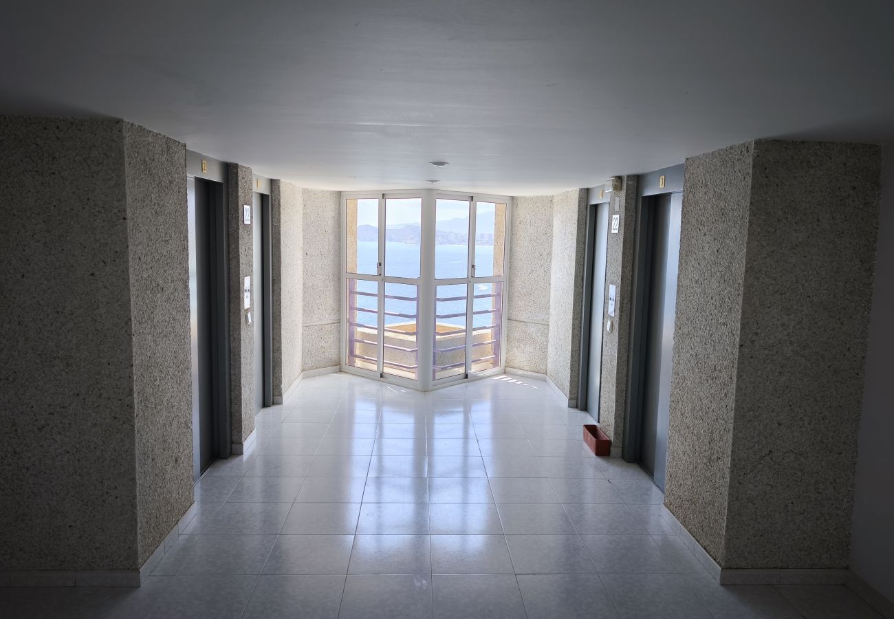 Apartamento en Benidorm - Apartamento  Tropic Mar Beniskyland