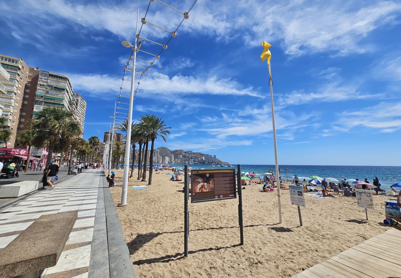 Apartamento en Benidorm - Apartamento Pal  Beach Benidorm