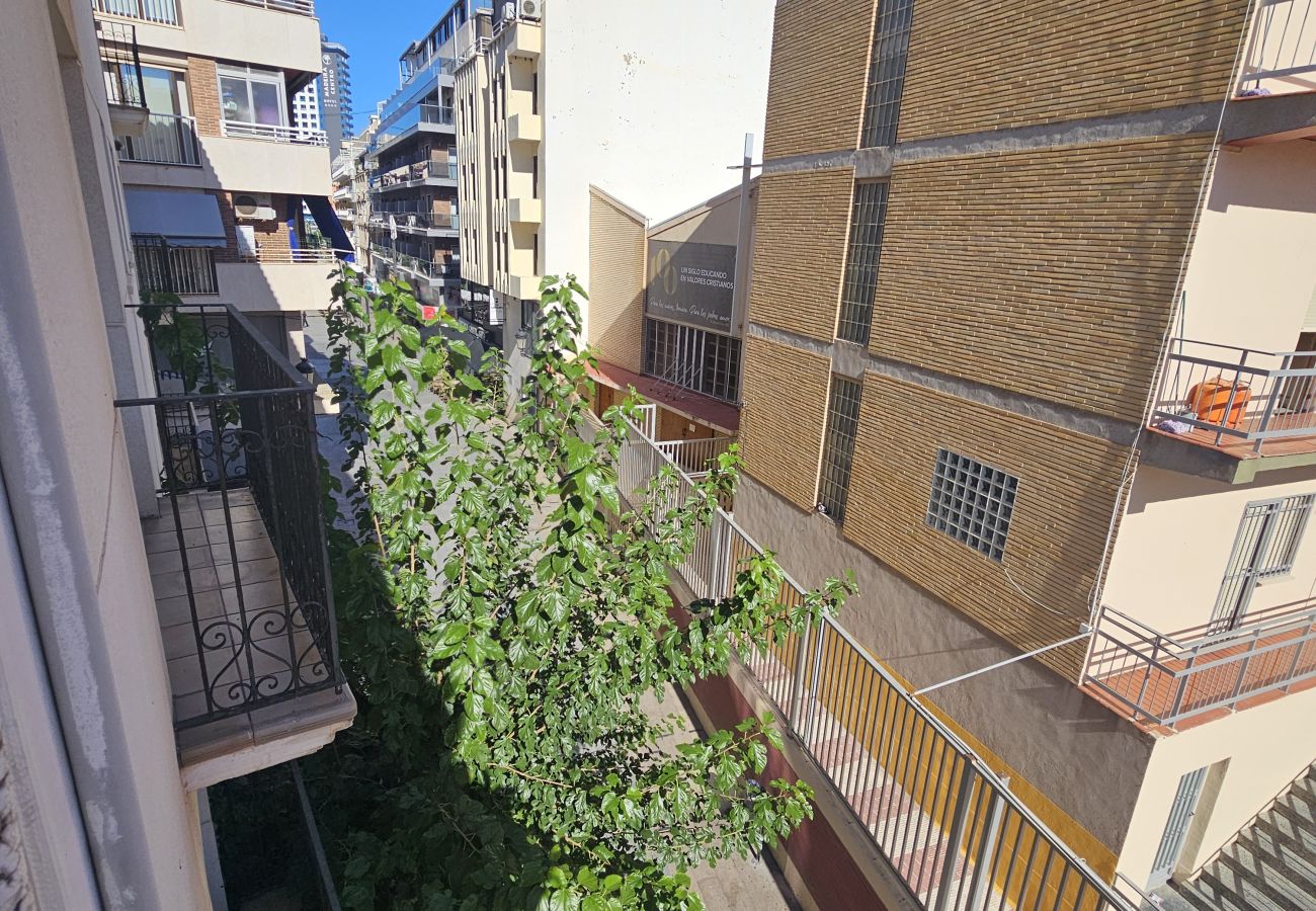 Apartamento en Benidorm - Apartamento Pal  Beach Benidorm