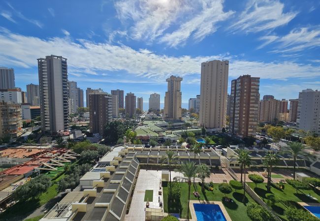 Apartamento en Benidorm - Apartamento Gemelos XX 8 IF Benidorm