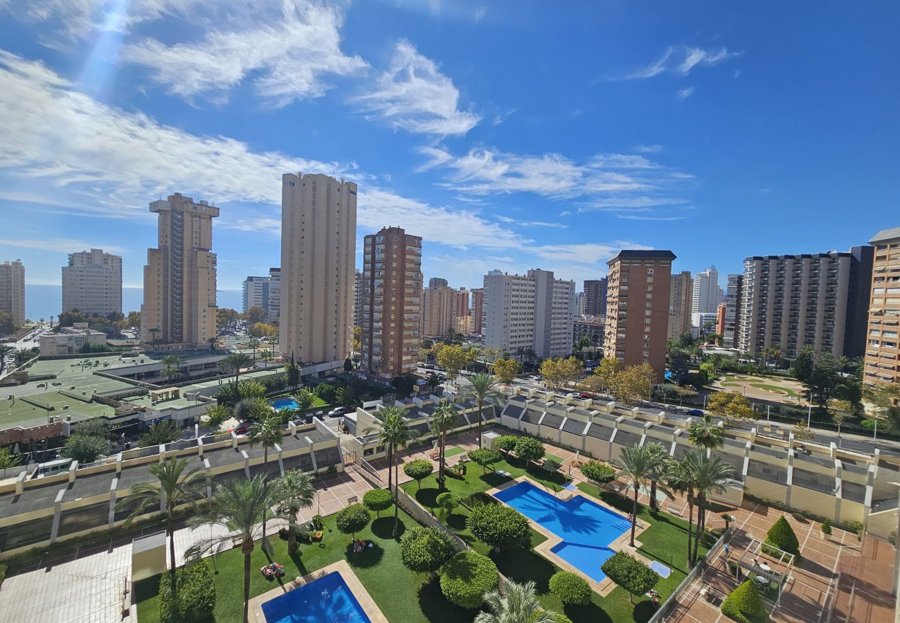 Apartamento en Benidorm - Apartamento Gemelos XX 8 IF Benidorm