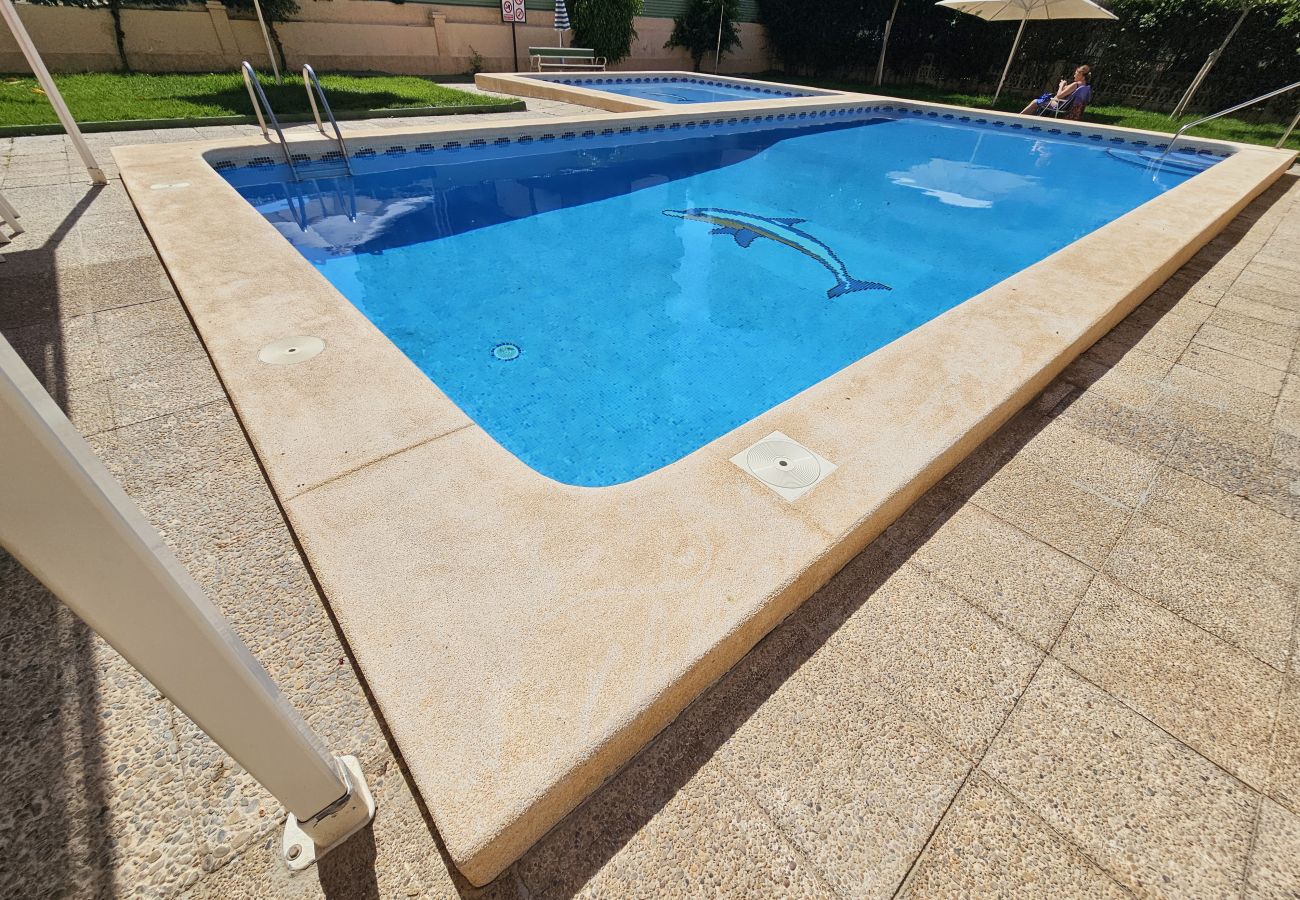 Apartamento en Benidorm - Apartamento Karina If Benidorm