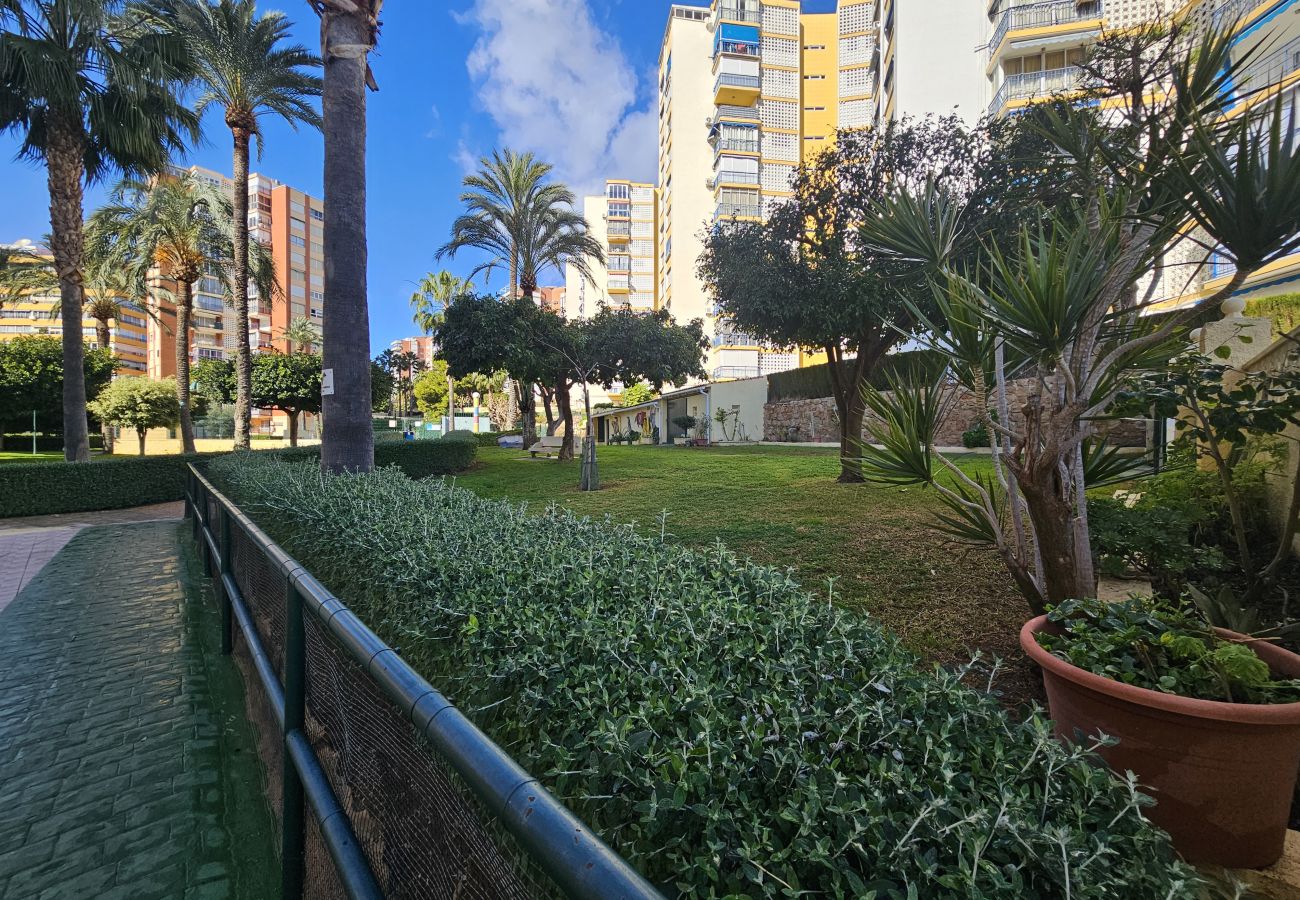 Apartamento en Benidorm - Apàrtamento Club Medico If Benidorm