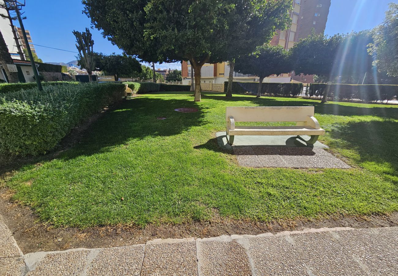 Apartamento en Benidorm - Apàrtamento Club Medico If Benidorm