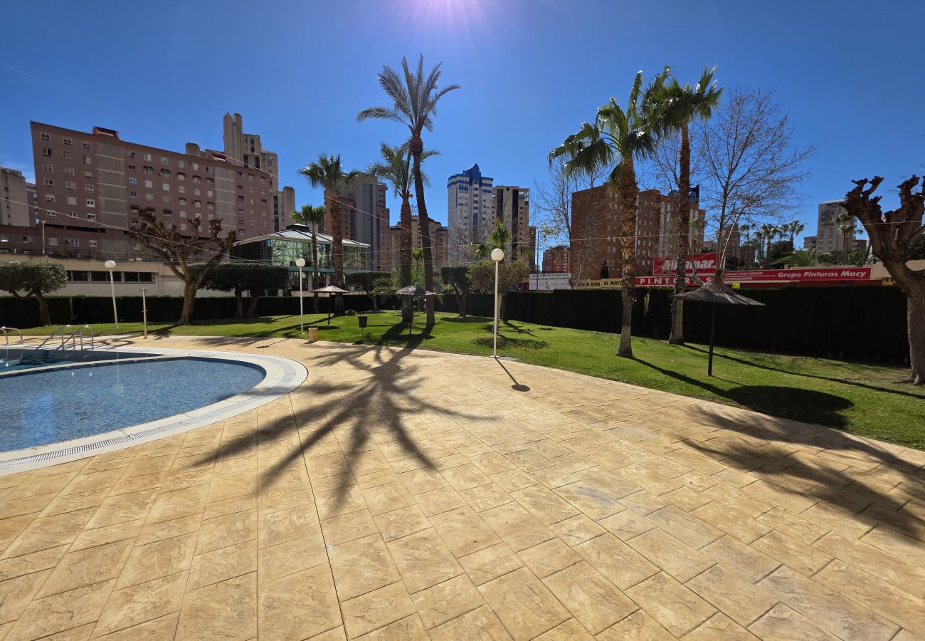 Apartamento en Benidorm - Apartamento Luxury Views IF Benidorm