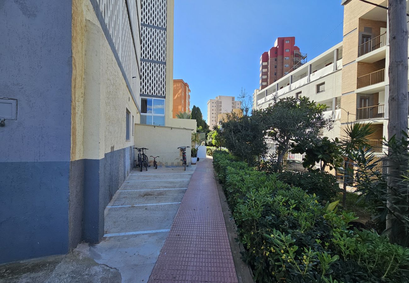 Apartamento en Benidorm - Apartamento Marabu 9 IF Benidorm