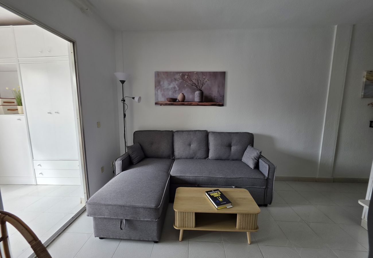 Estudio en Benidorm - Estudio Benidorm Sol