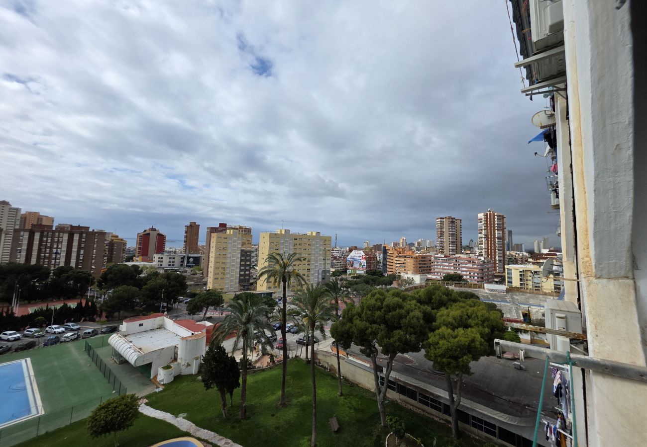 Estudio en Benidorm - Estudio Benidorm Sol