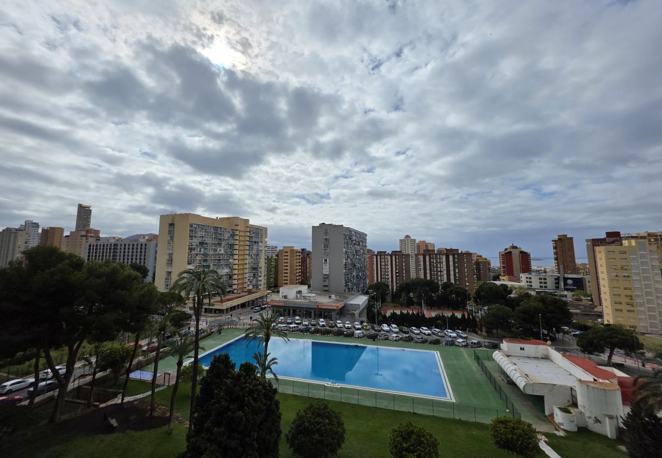Estudio en Benidorm - Estudio Benidorm Sol