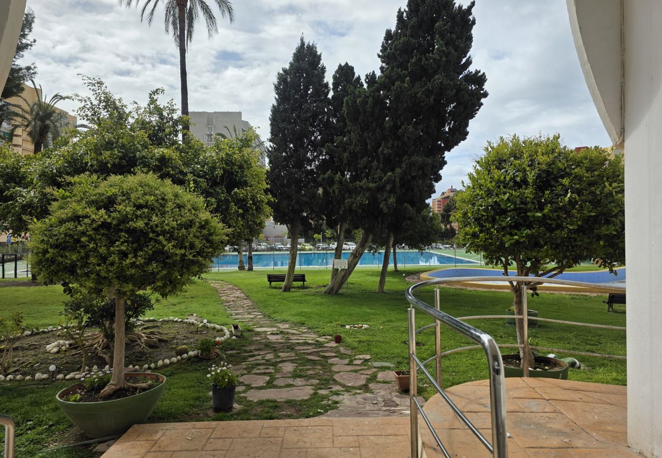 Estudio en Benidorm - Estudio Benidorm Sol