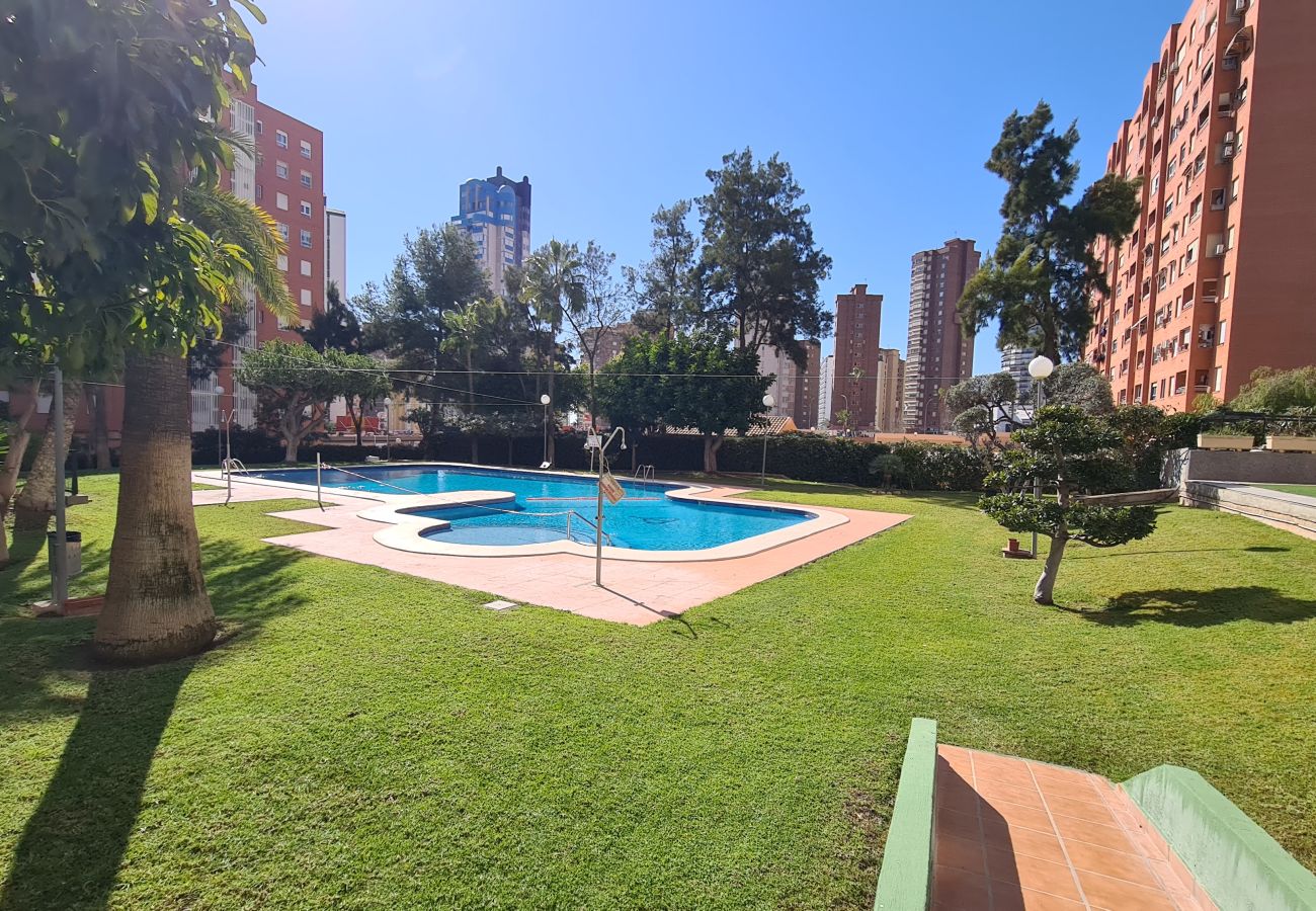 Apartamento en Benidorm - Apartamento Gemelos 27B If Benidorm
