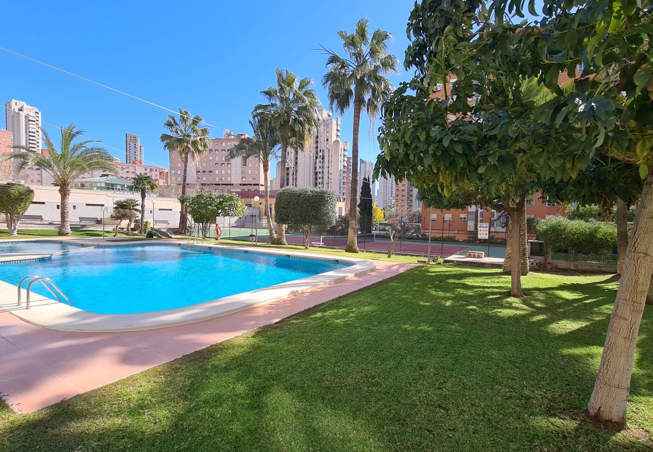Apartamento en Benidorm - Apartamento Gemelos 27B If Benidorm