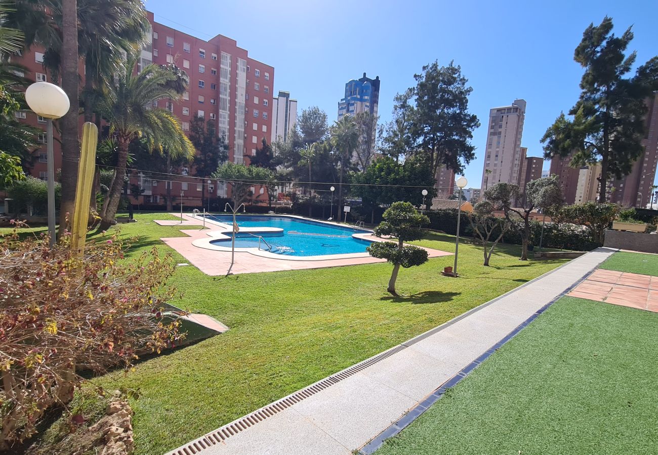 Apartamento en Benidorm - Apartamento Gemelos 27B If Benidorm
