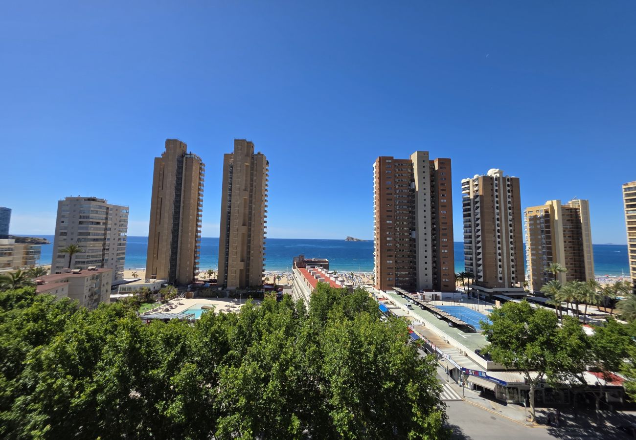 Apartamento en Benidorm - Apartamento Circo 9 If Beach