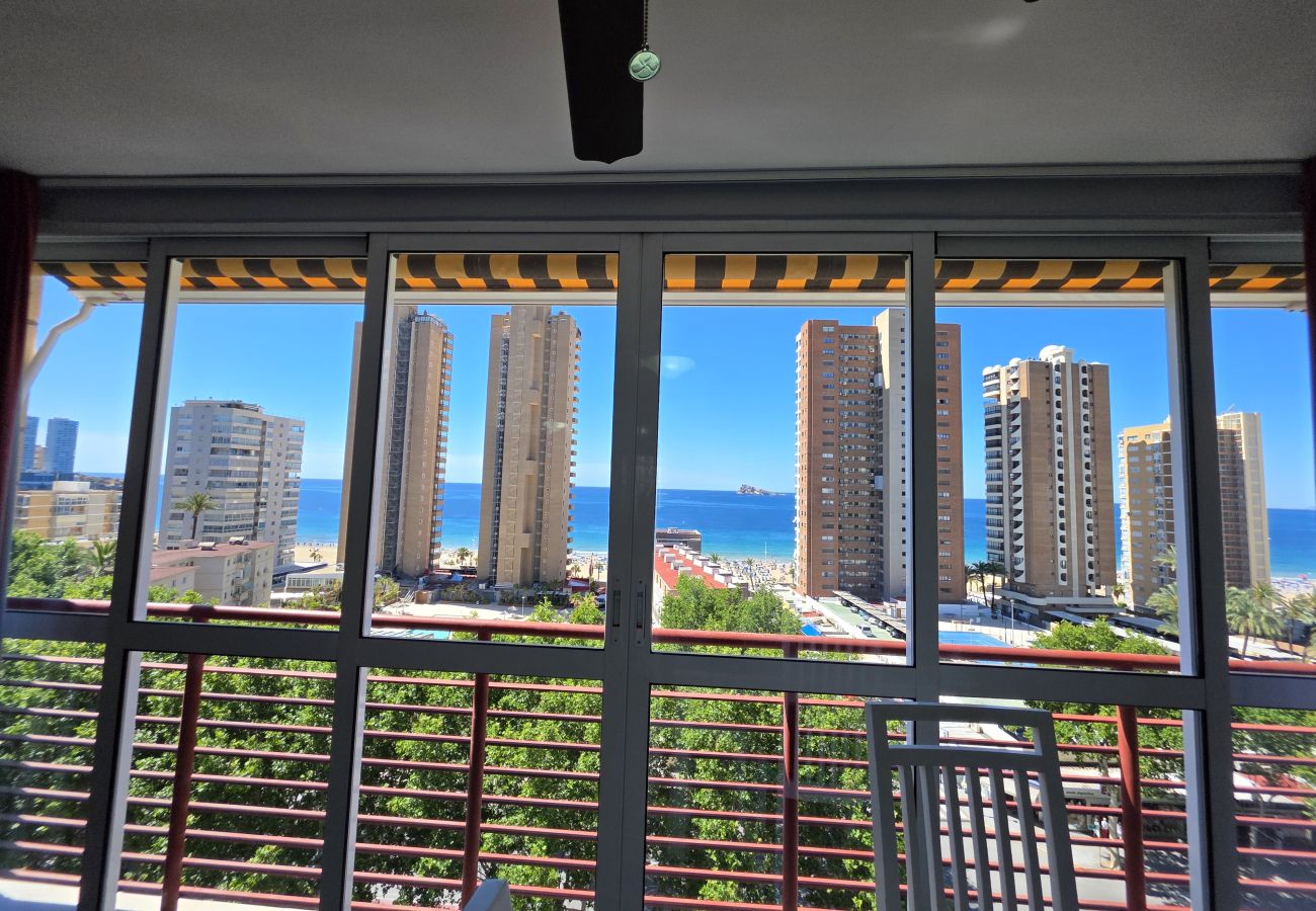 Apartamento en Benidorm - Apartamento Circo 9 If Beach