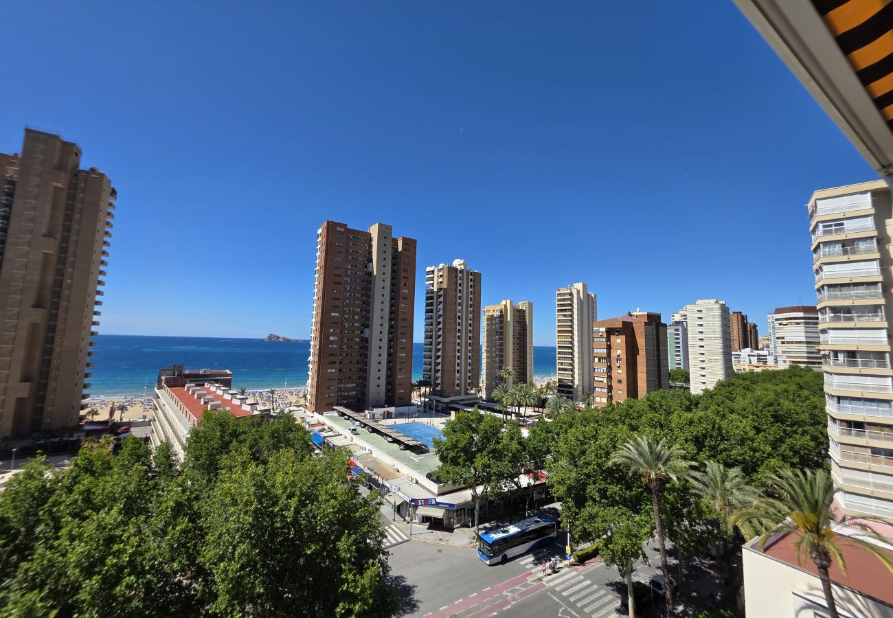 Apartamento en Benidorm - Apartamento Circo 9 If Beach