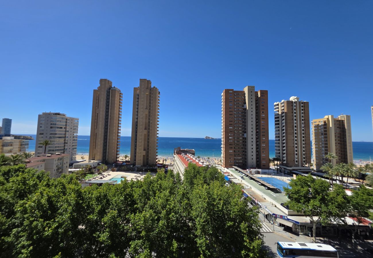 Apartamento en Benidorm - Apartamento Circo 9 If Beach